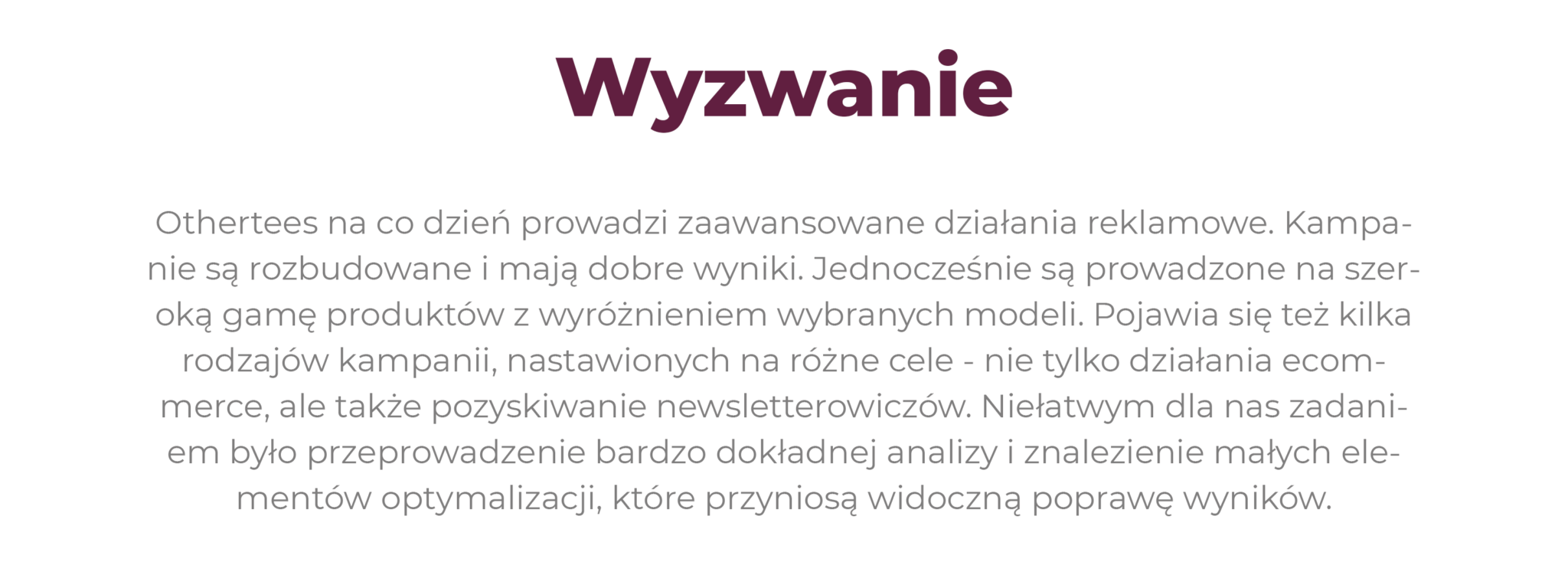 Case studies audyt dzialań reklamowych PPC dla Othertees 1 2048x768 1